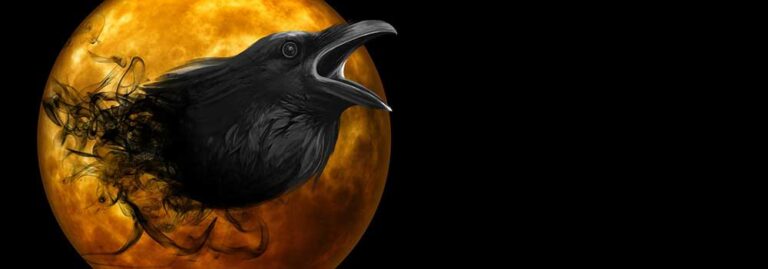 Blackbirds, a poem by Darlene Witte